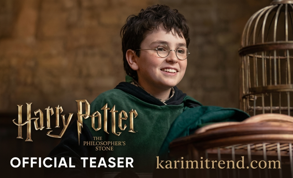 Harry Potter HBO series, taseer