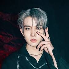 heeseung-the pop star